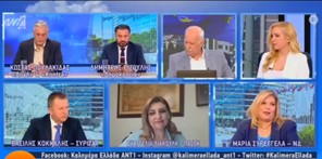 Λιακούλη στον AΝΤ1: "Το ΠΑΣΟΚ δύναμη προοπτικής, μακριά από την παραπολιτική"